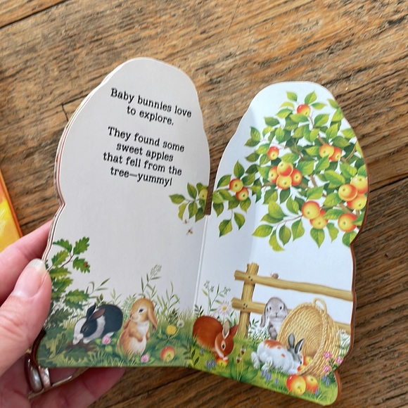 Elecopter and Bunny book - Picture 5 of 5